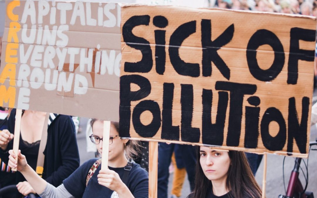 How to Fight Climate Change, 3 Easy Actions to do Daily